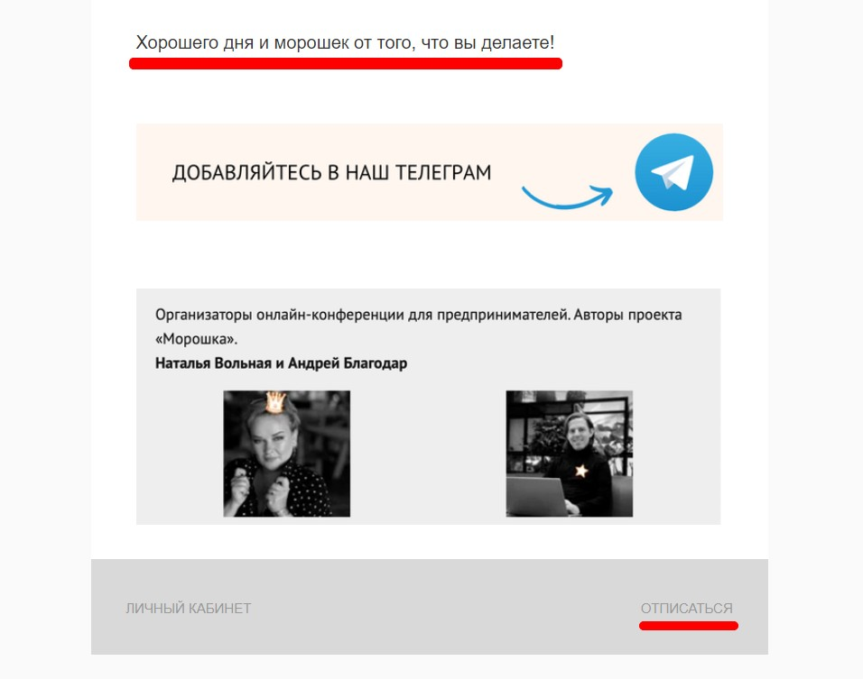Авторы проекта «Морошка» придумали приятную подпись и разместили ссылку на отписку на видном месте в письме